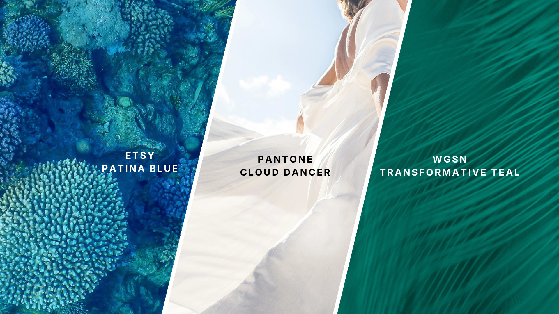 Why 2026 Color of the Year matters